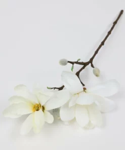 Inspire Me! Home Decor 25" Cream Magnolia Stem Floral Stems