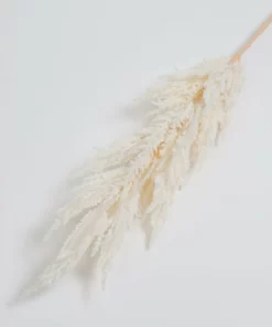 Inspire Me! Home Decor 46" White Pampa Stem Floral Stems
