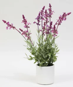 Inspire Me! Home Decor Lavender In White Vase