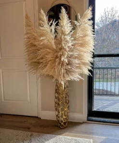 Inspire Me! Home Decor Natural Pampas Grass