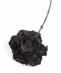 Inspire Me! Home Decor Black Hydrangea Stem