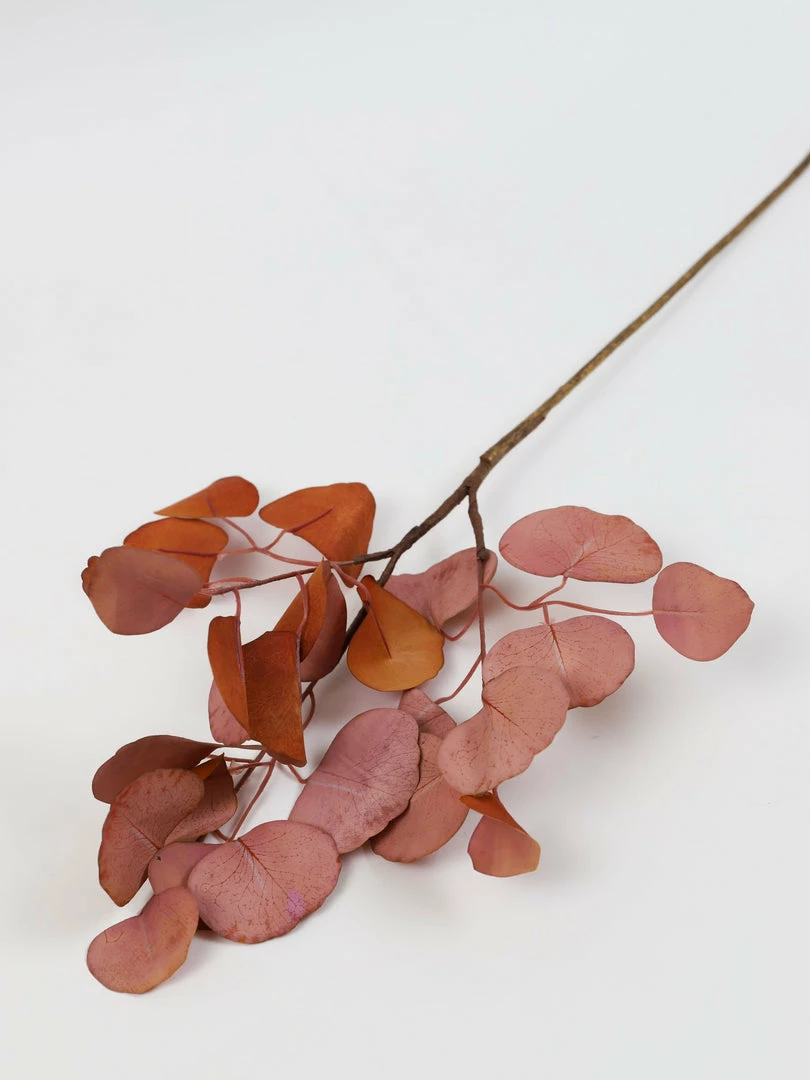 Inspire Me! Home Decor Floral Stems Beige Pink Flat Eucalyptus Stem 4 Inspire Me! Home Decor Floral Stems Beige Pink Flat Eucalyptus Stem
