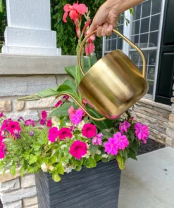 Inspire Me! Home Decor Gold Watering Can