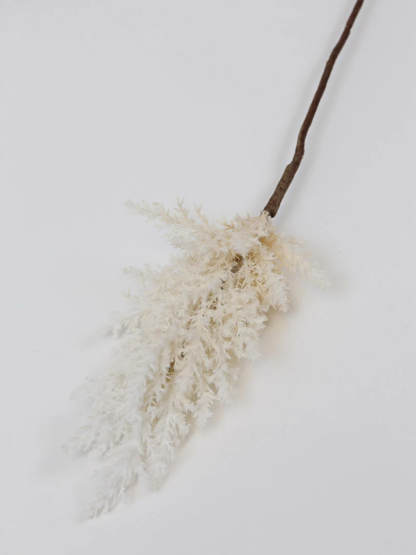 Inspire Me! Home Decor White Pampa Stem 4 Inspire Me! Home Decor White Pampa Stem