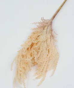 Inspire Me! Home Decor Floral Stems 32" OMBRE Pampa Stem