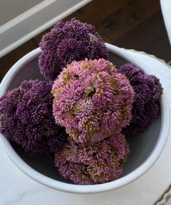 Inspire Me! Home Decor Decorative Faux Sedum Orb (2 Colors)
