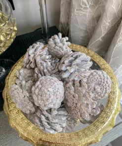 Inspire Me! Home Decor White Decorative Pinecones Box