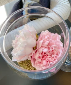 Inspire Me! Home Decor Glass Stem Jar Bundle Set BUNDLE DEALS